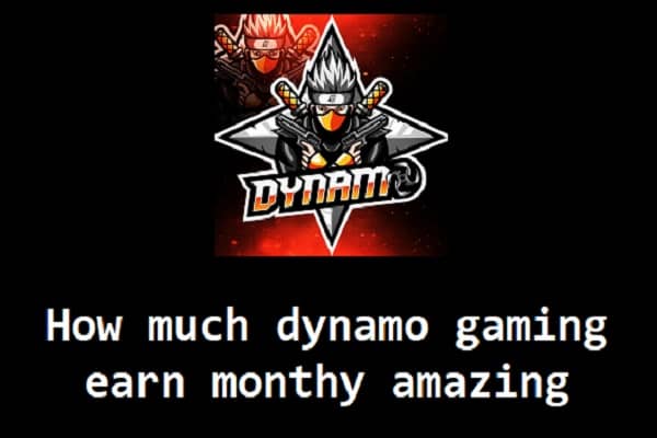 How much dynamo gaming earn monthy amazing