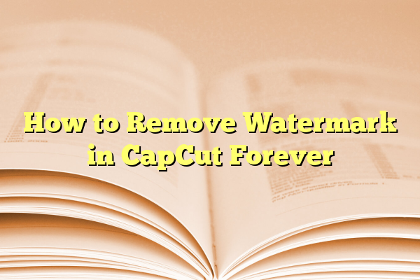 How to Remove Watermark in CapCut Forever