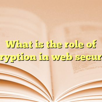 What is the role of encryption in web security?