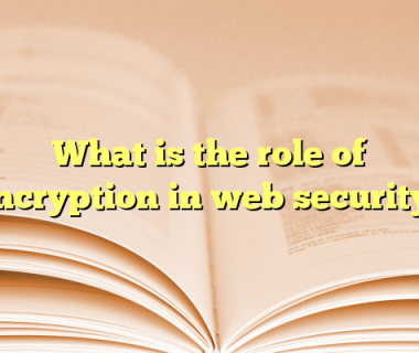 What is the role of encryption in web security?
