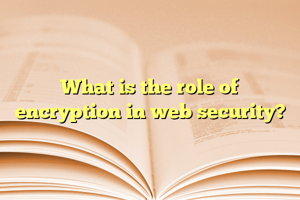 What is the role of encryption in web security?