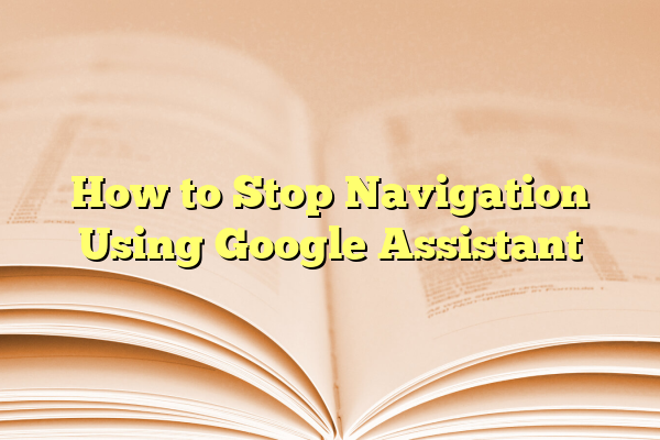 How to Stop Navigation Using Google Assistant
