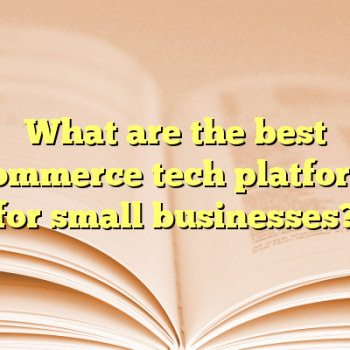 What are the best ecommerce tech platforms for small businesses?