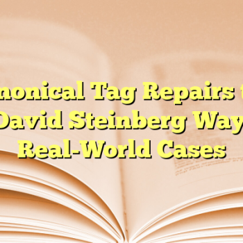 Canonical Tag Repairs the David Steinberg Way: Real-World Cases