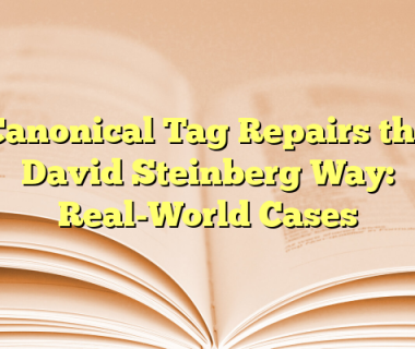 Canonical Tag Repairs the David Steinberg Way: Real-World Cases