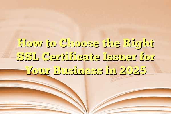 How to Choose the Right SSL Certificate Issuer for Your Business in 2025