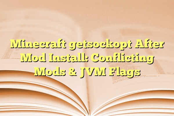 Minecraft getsockopt After Mod Install: Conflicting Mods & JVM Flags