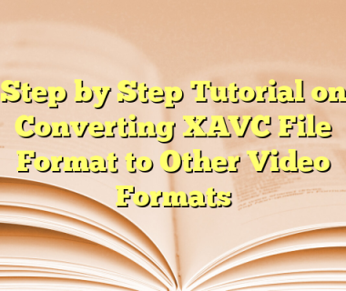 Step by Step Tutorial on Converting XAVC File Format to Other Video Formats