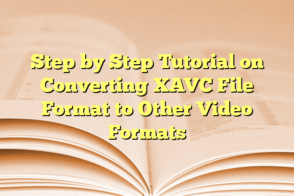 Step by Step Tutorial on Converting XAVC File Format to Other Video Formats
