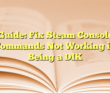 Guide: Fix Steam Console Commands Not Working in Being a DIK