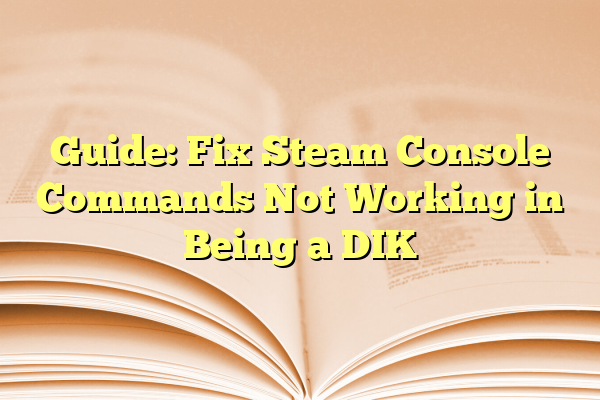 Guide: Fix Steam Console Commands Not Working in Being a DIK