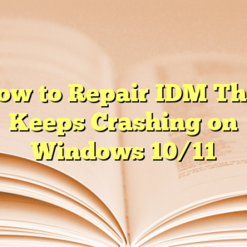 How to Repair IDM That Keeps Crashing on Windows 10/11
