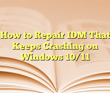 How to Repair IDM That Keeps Crashing on Windows 10/11