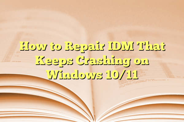 How to Repair IDM That Keeps Crashing on Windows 10/11