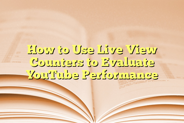 How to Use Live View Counters to Evaluate YouTube Performance