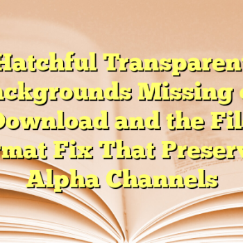 Hatchful Transparent Backgrounds Missing on Download and the File Format Fix That Preserved Alpha Channels