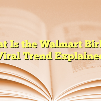 What Is the Walmart Birkin? Viral Trend Explained