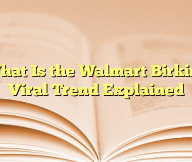 What Is the Walmart Birkin? Viral Trend Explained
