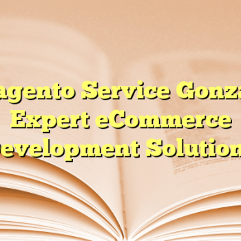 Magento Service Gonzay: Expert eCommerce Development Solutions