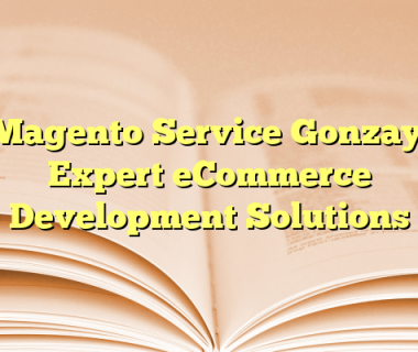 Magento Service Gonzay: Expert eCommerce Development Solutions
