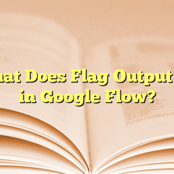 What Does Flag Output Do in Google Flow?