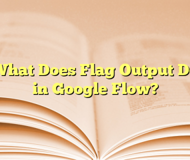 What Does Flag Output Do in Google Flow?