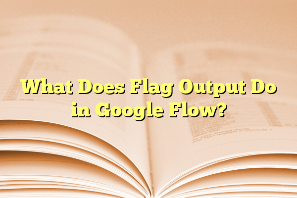 What Does Flag Output Do in Google Flow?