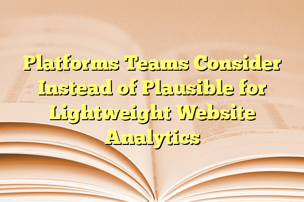 Platforms Teams Consider Instead of Plausible for Lightweight Website Analytics